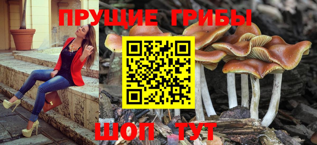 Псилоцибиновые грибы мицелий  Псилоцибиновые грибы мухоморы  Хасавюрт  Вход с VPN 