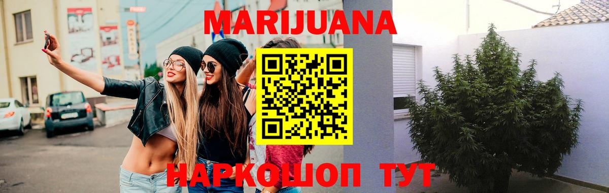 Канабис план  Бошки марихуана сатива  МАРИХУАНА THC 21%  Хасавюрт  Вход с VPN  МАРИХУАНА Bruce Banner 